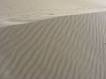 dunes lignes.JPG