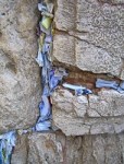 190px-Prayer_Papers_in_the_Western_Wall.jpg