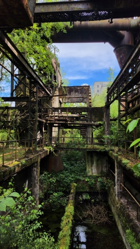 20240622_154225.jpg