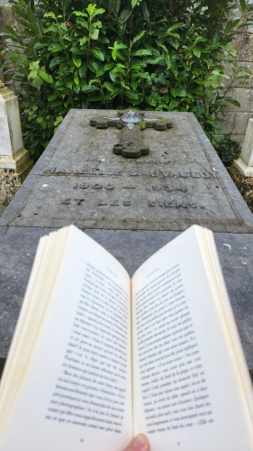 meuse 4.jpg